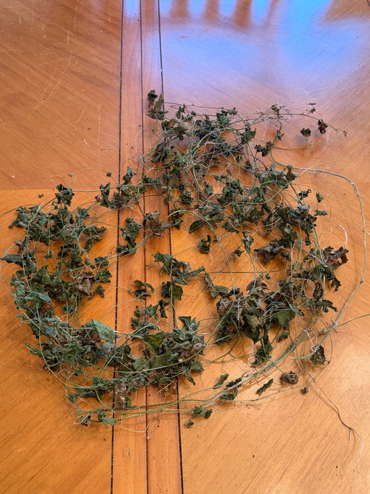 Bitter Melon / Cerasee (dried herb) — Momordica charantia