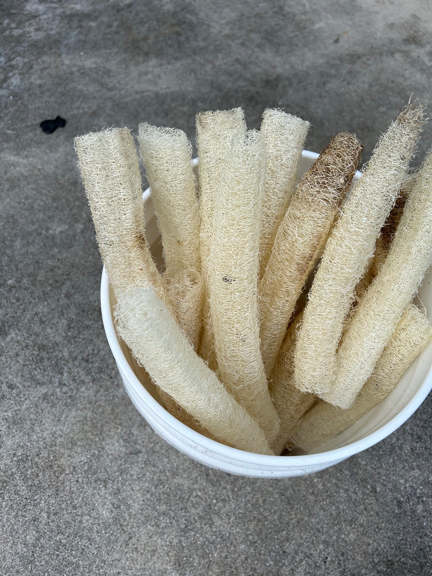 loofah