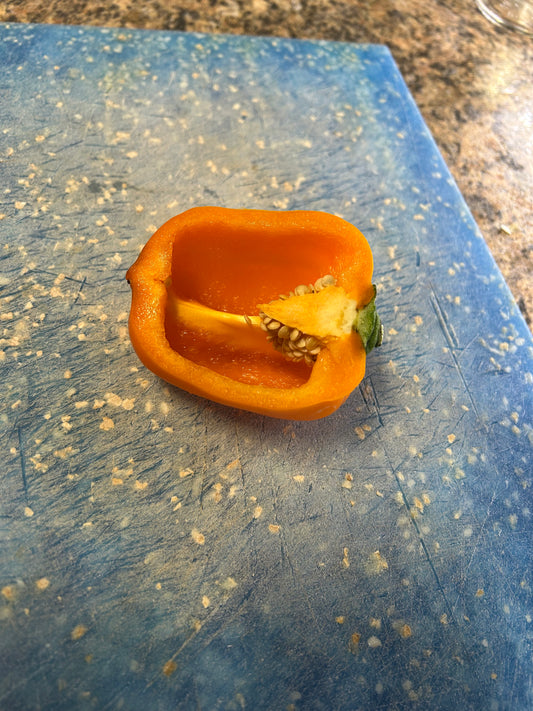 Orange bell pepper seeds
