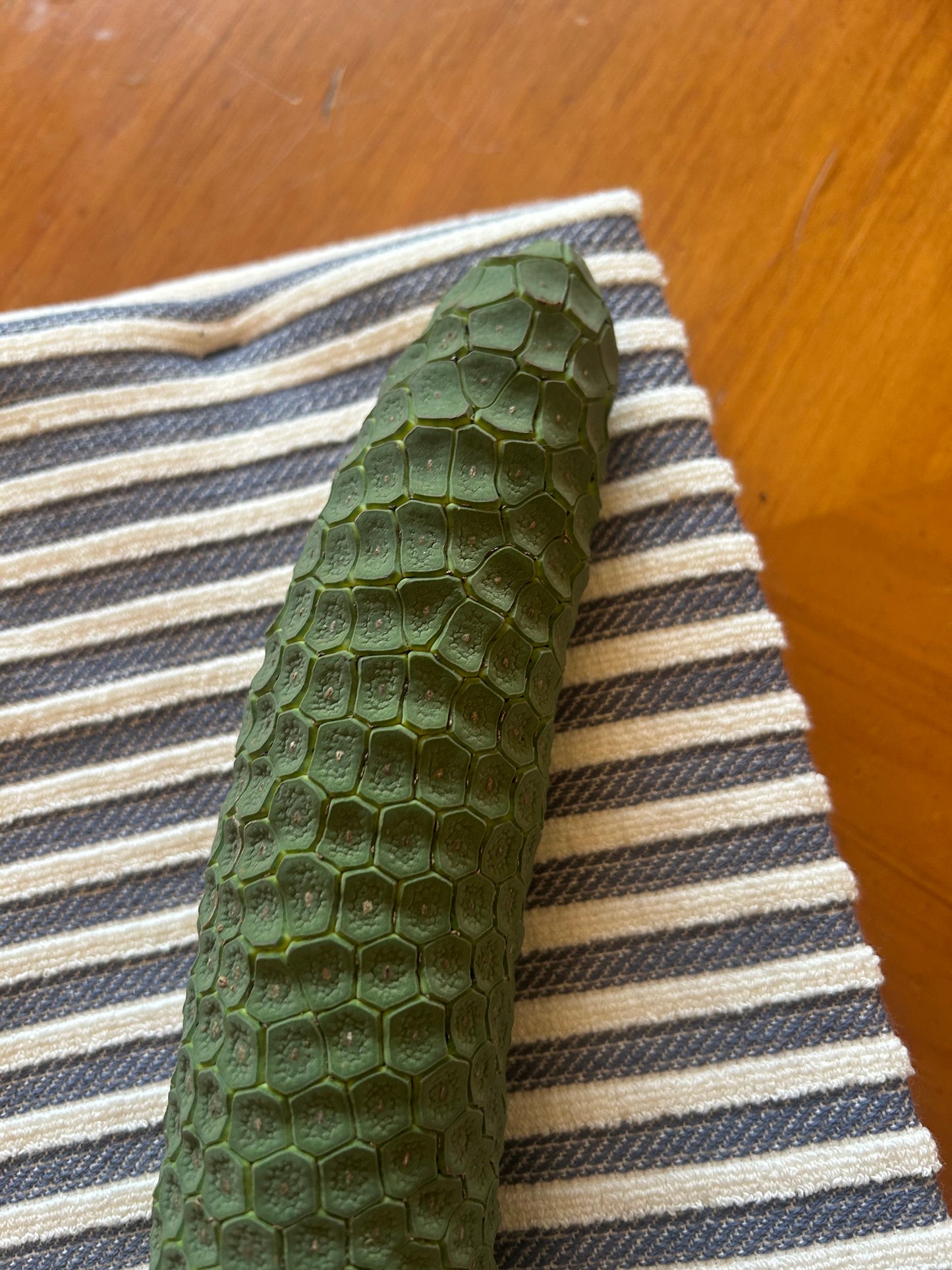 Monstera Delicioso fruit