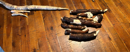 Yuca cuttings