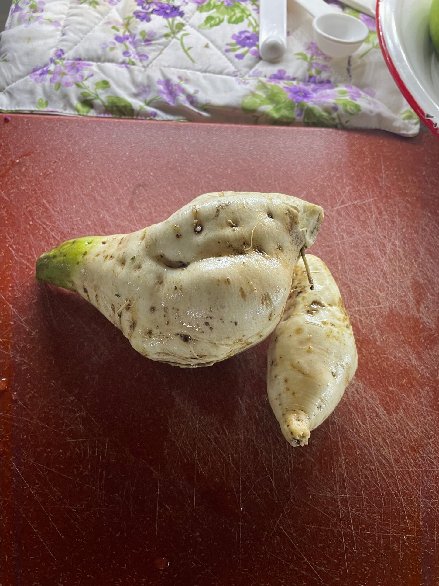 White sweet potato slips