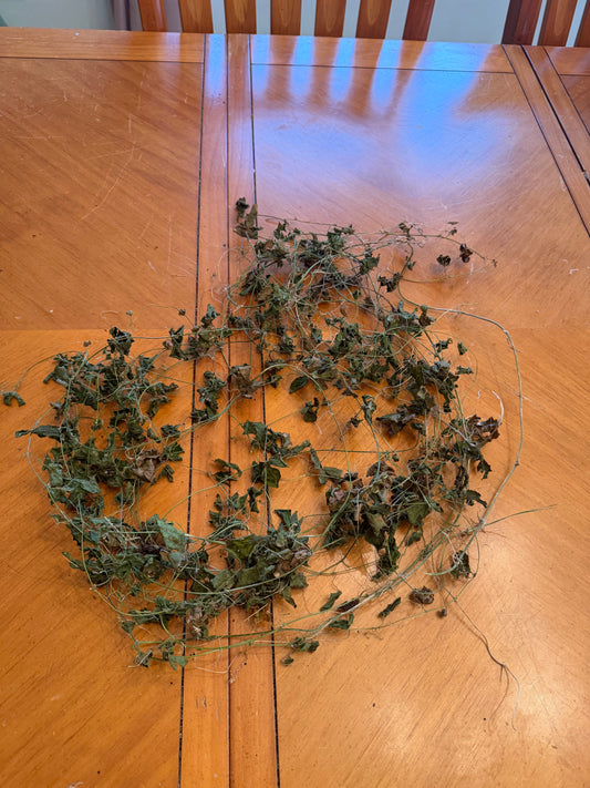 Bitter Melon / Cerasee (dried herb) — Momordica charantia