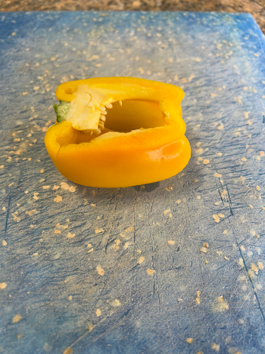 Yellow bell pepper seeds