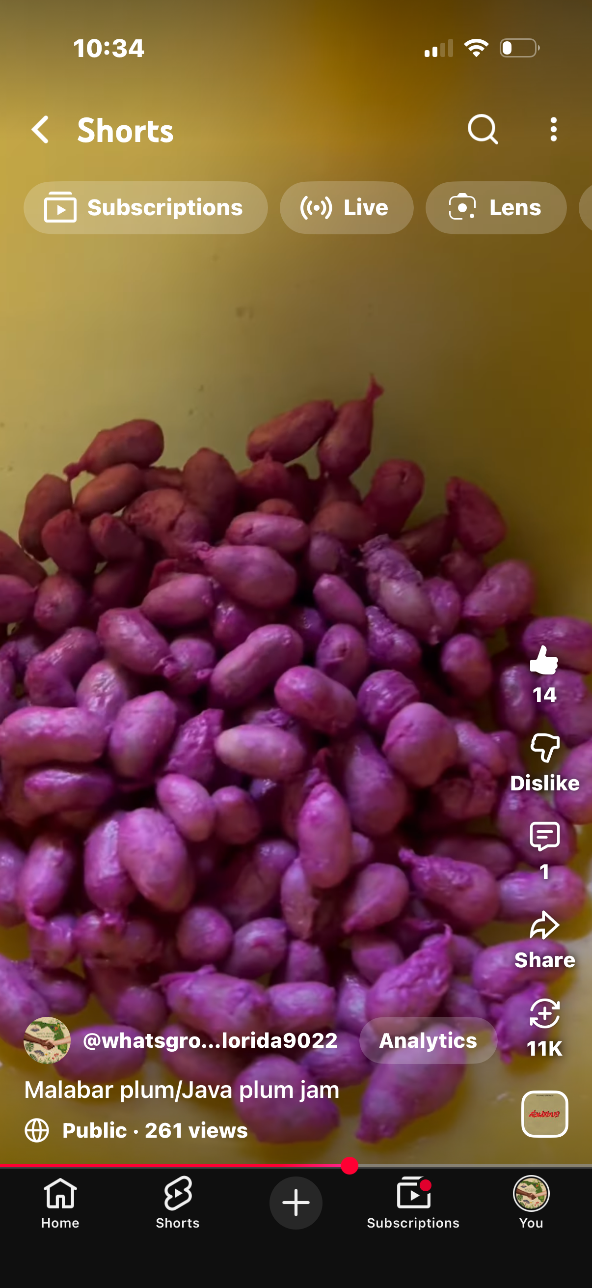 Jamun Seed Powder with Turmeric & Cinnamon