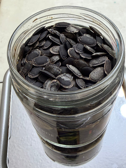 Edible loofah seeds
