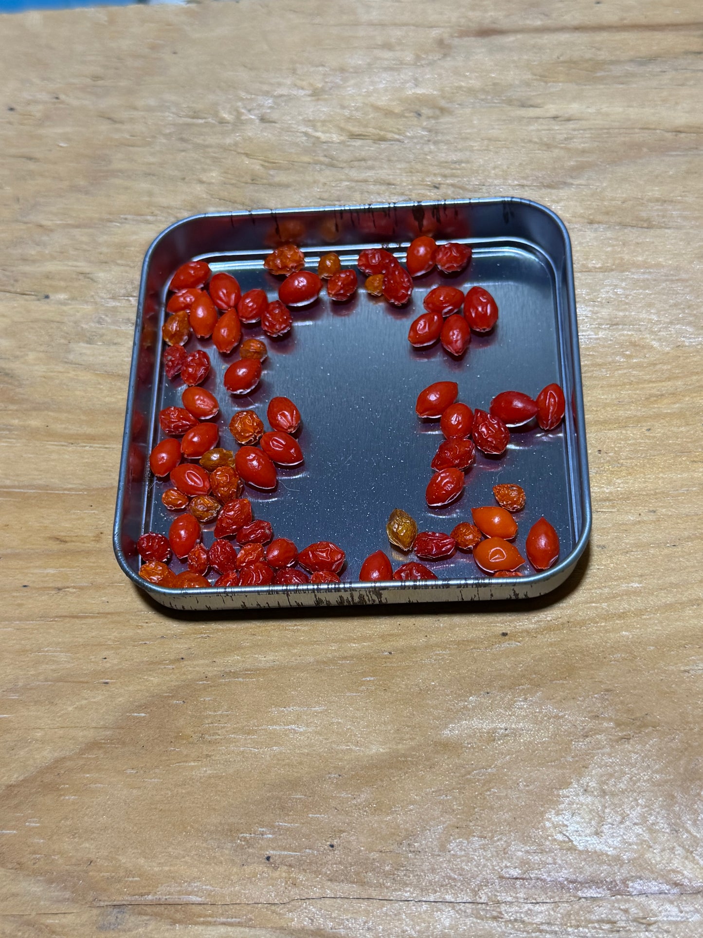 Wild bird peppers (Capsicum annuum var. glabriusculum) ￼