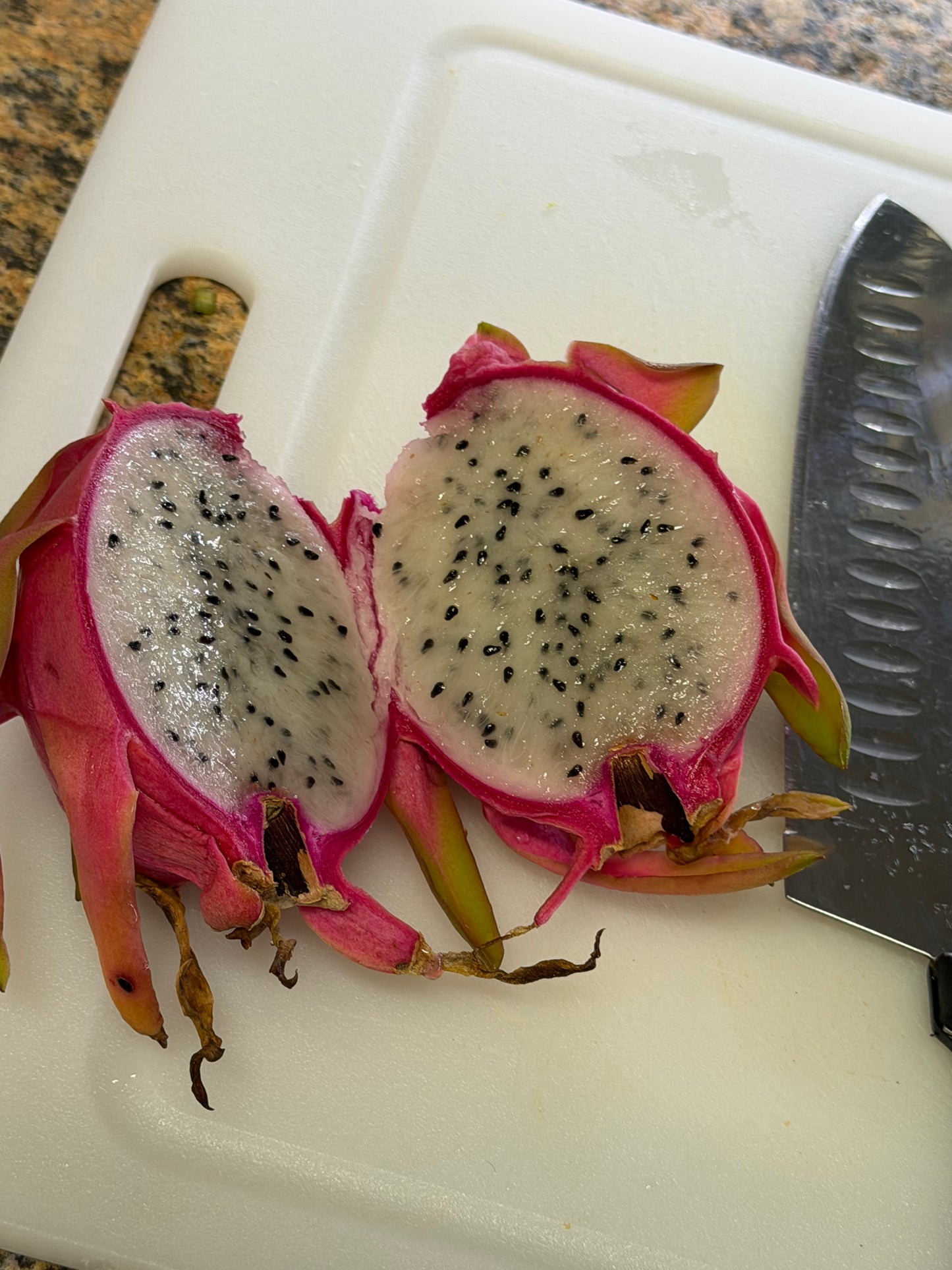 Pink dragon fruit cuttings ￼