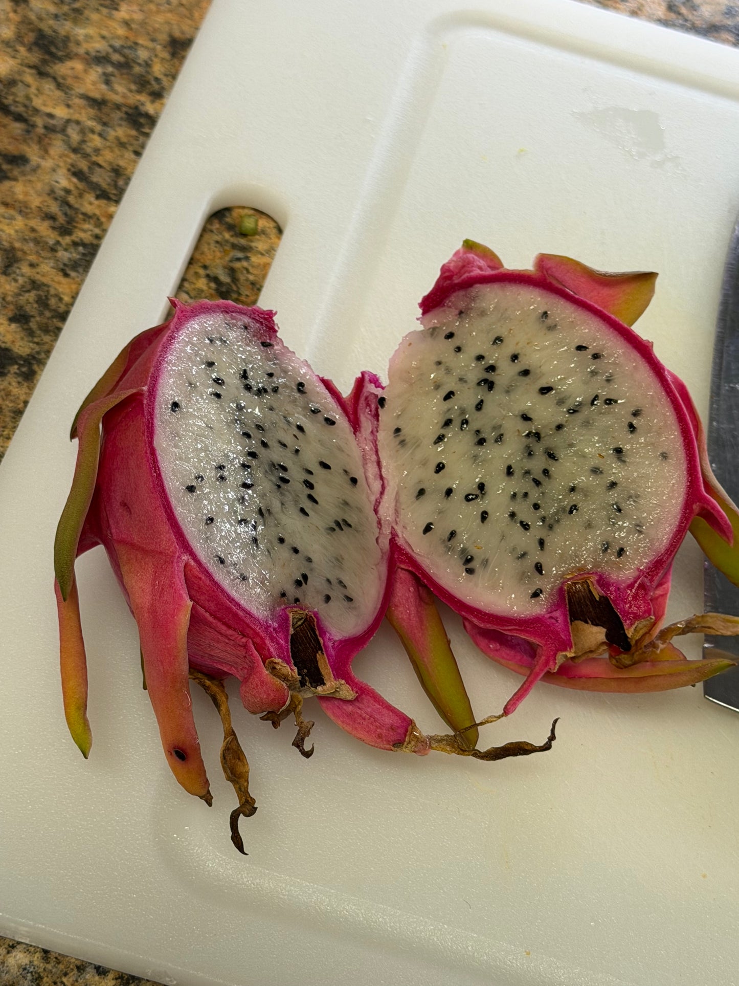 Pink dragon fruit cuttings ￼