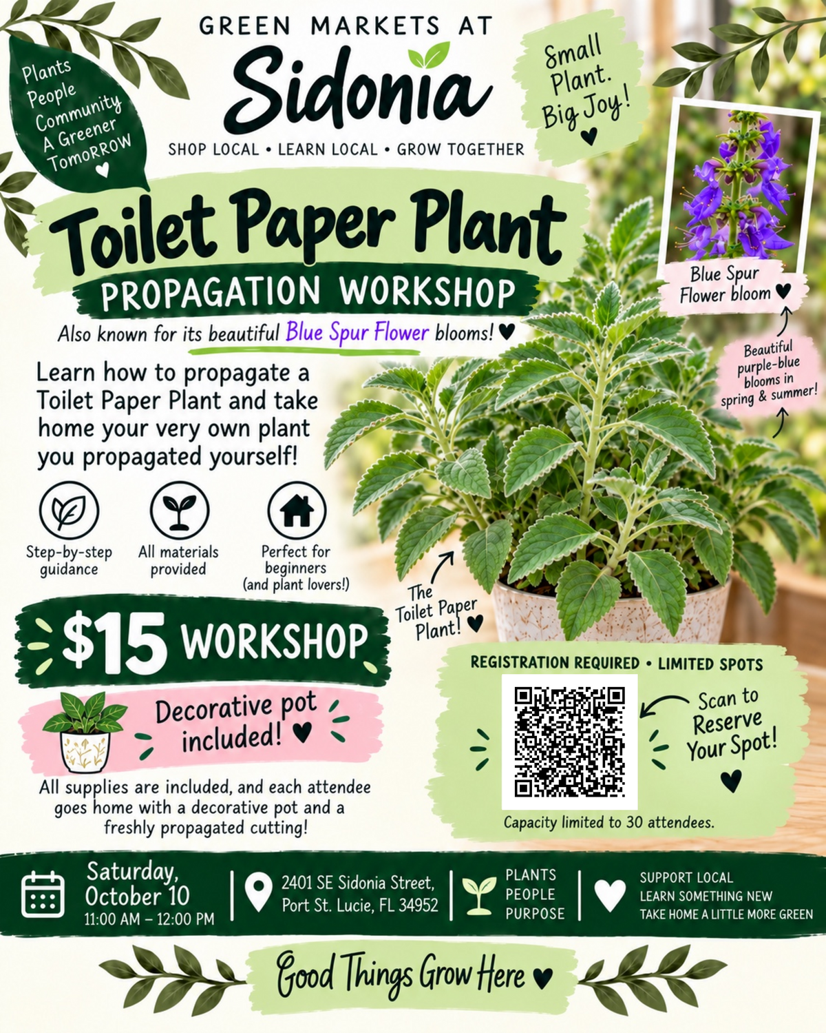 Cutting Propagation Workshop – Toilet Paper Plant (Blue Spur Flower)